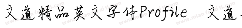 文道精品英文字体Profile   文道字库字体转换